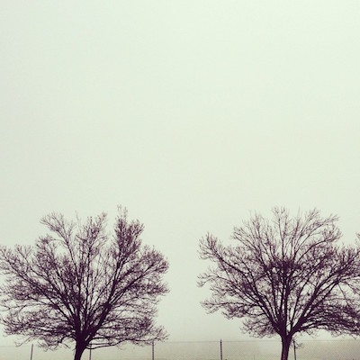 neblina.jpg