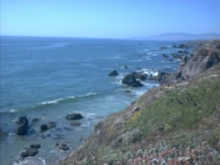 bodega bay