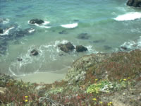 bodega bay