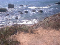 bodega bay