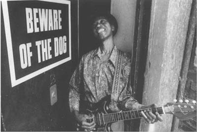 hound dog taylor