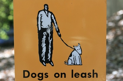 dogsonleash.jpg