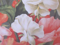 floplas3.jpg