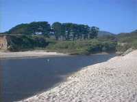 half moon bay