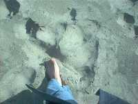 half moon bay