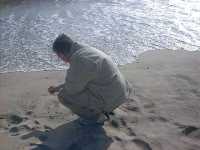 half moon bay