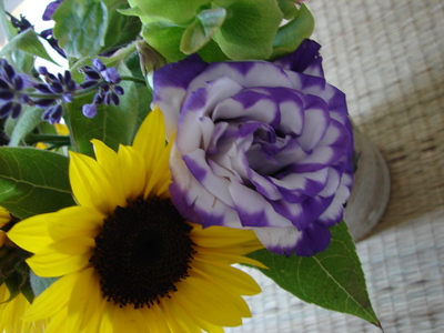 moreorganicflowers.JPG