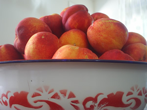 nectarines