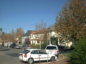 neighborhood