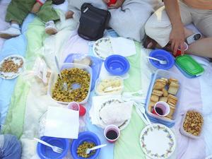 picnicbid1.JPG