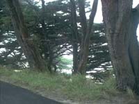 point reyes