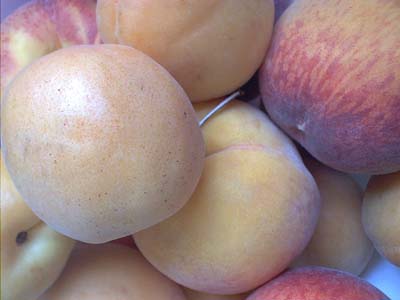 frutas
